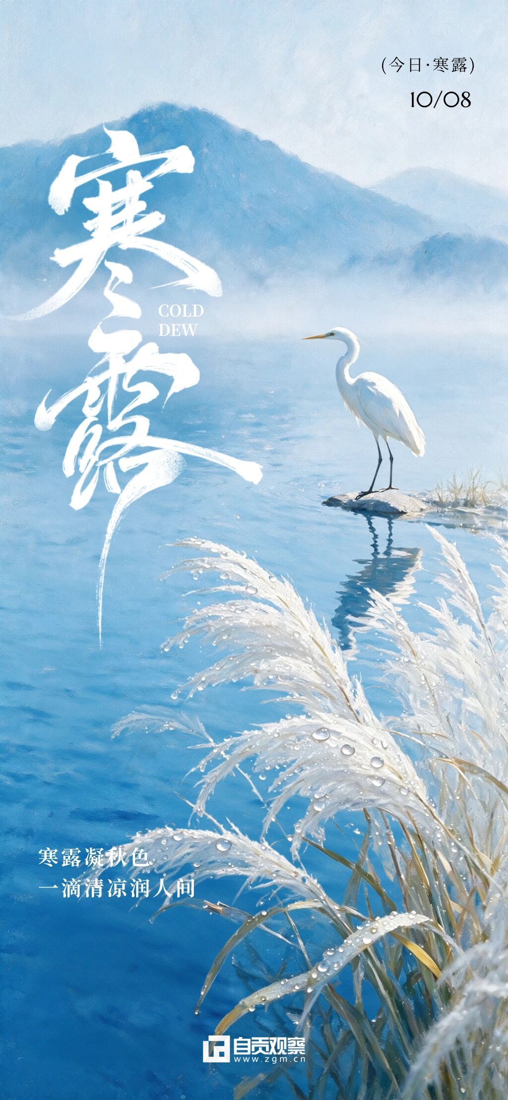 寒露节气国风唯美宣传海报。画面呈现寒露节气主题,白色书法字体醒目,背景为蓝色山水与芦苇,一只白鹭立于水中岩石上。整体色调清新雅致.jpg