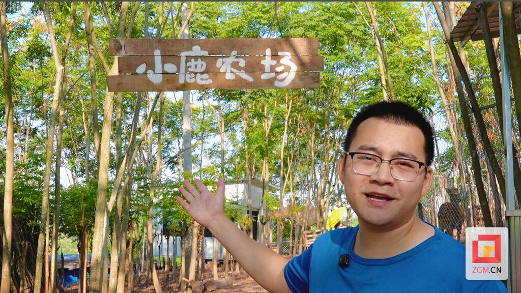 梅花鹿农场大门口.jpg