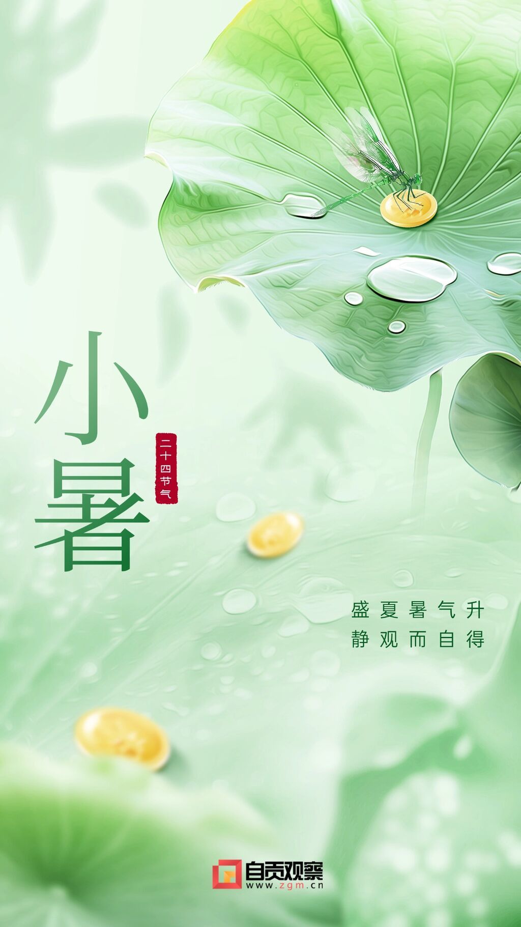 小暑金融保险节气祝福问候实景合成风手机海报.jpg