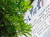 八甲祠堂换新颜