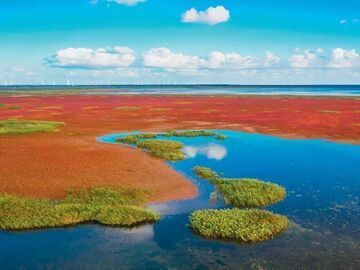 国际殊荣+1！“中国蓝色海湾整治行动”获评意义几何