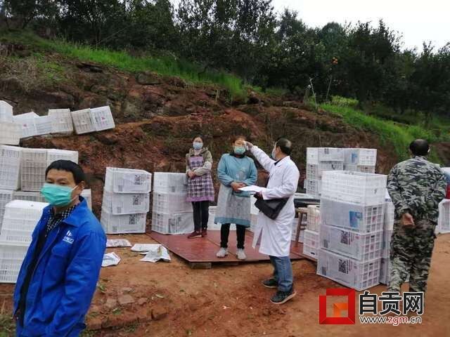 測試采果隊員體溫.jpg