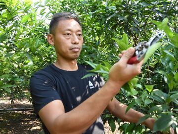【人大代表风采】黄吉彬：以身示范 带富一方