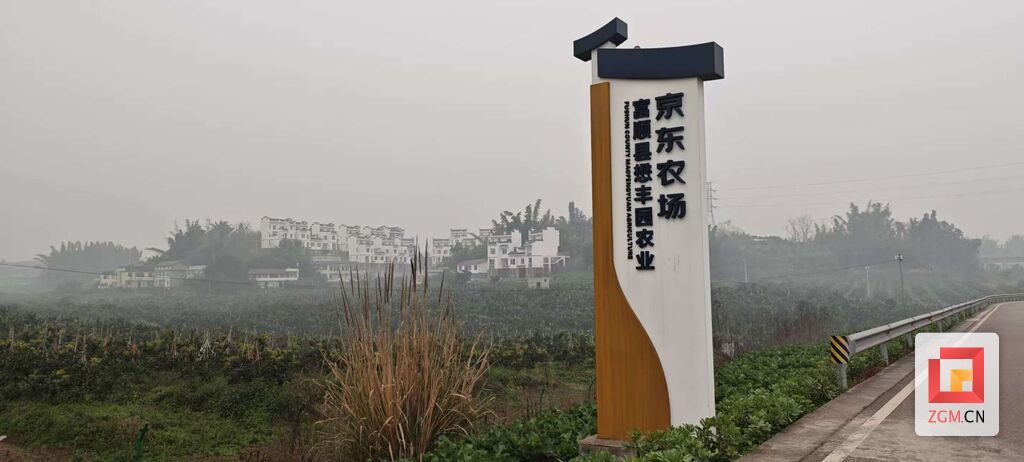 微信圖片_202502101037203.jpg