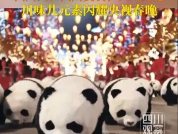 四川人、四川美食、四川文化 川味儿元素闪耀央视春晚