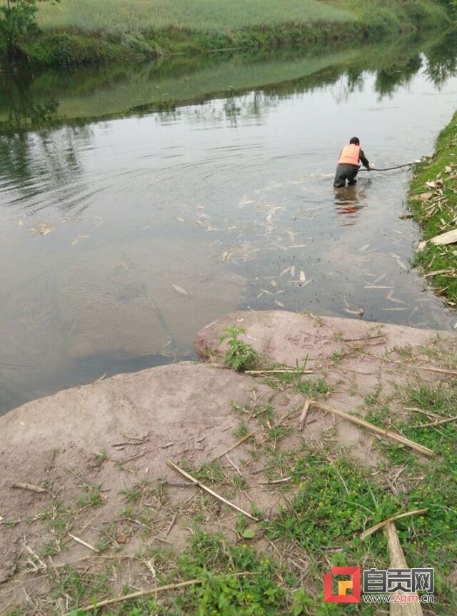 清理現(xiàn)場.jpg