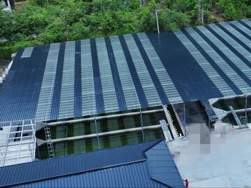 告别千里寻苗，平武虹鳟实现本地孵化丨县域新气象