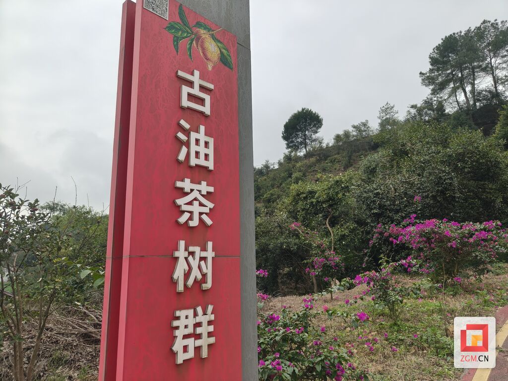 微信图片_20261012222855_1035_172.jpg