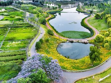 【图赏盐都】自贡的 “城市绿肺” 宜昆河湿地公园美出圈