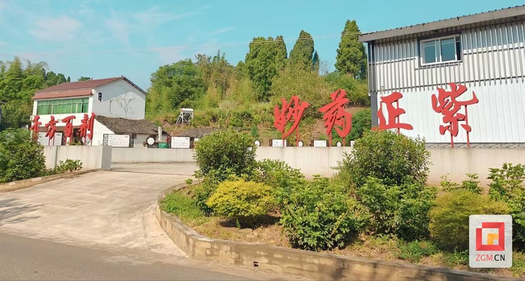 微信图片_20260808100256.jpg