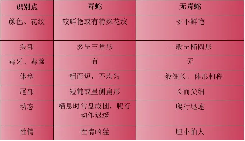 圖片3.png