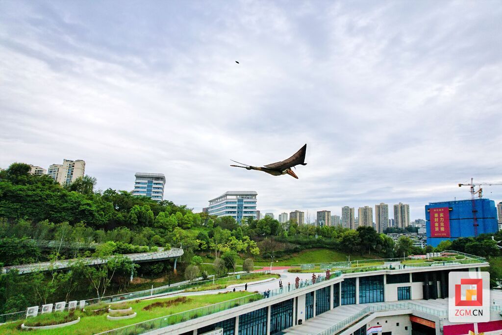 dji_fly_20261001_095810_289_1790820347853_photo.jpg