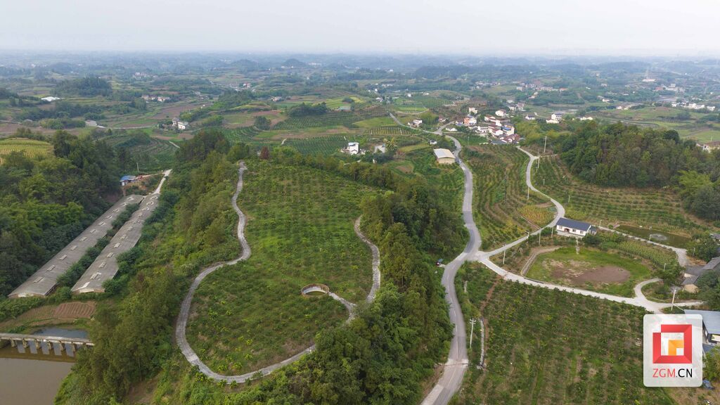 DJI_0715.jpg