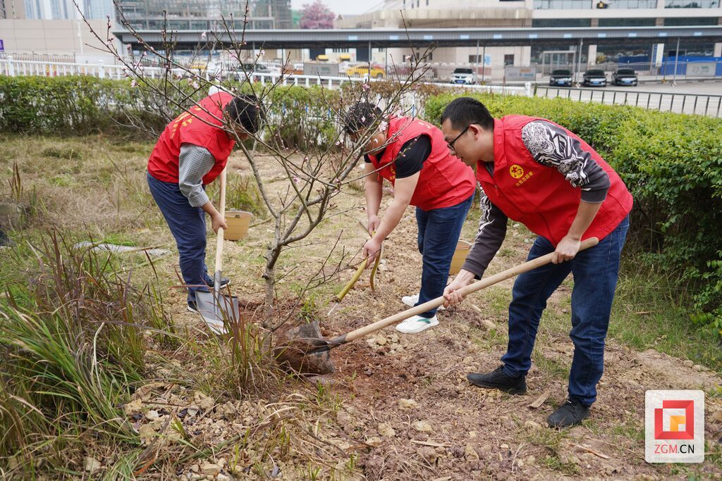 公交植樹.jpg