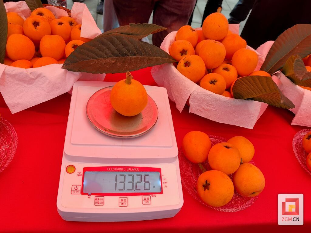微信图片_20250510220423.jpg