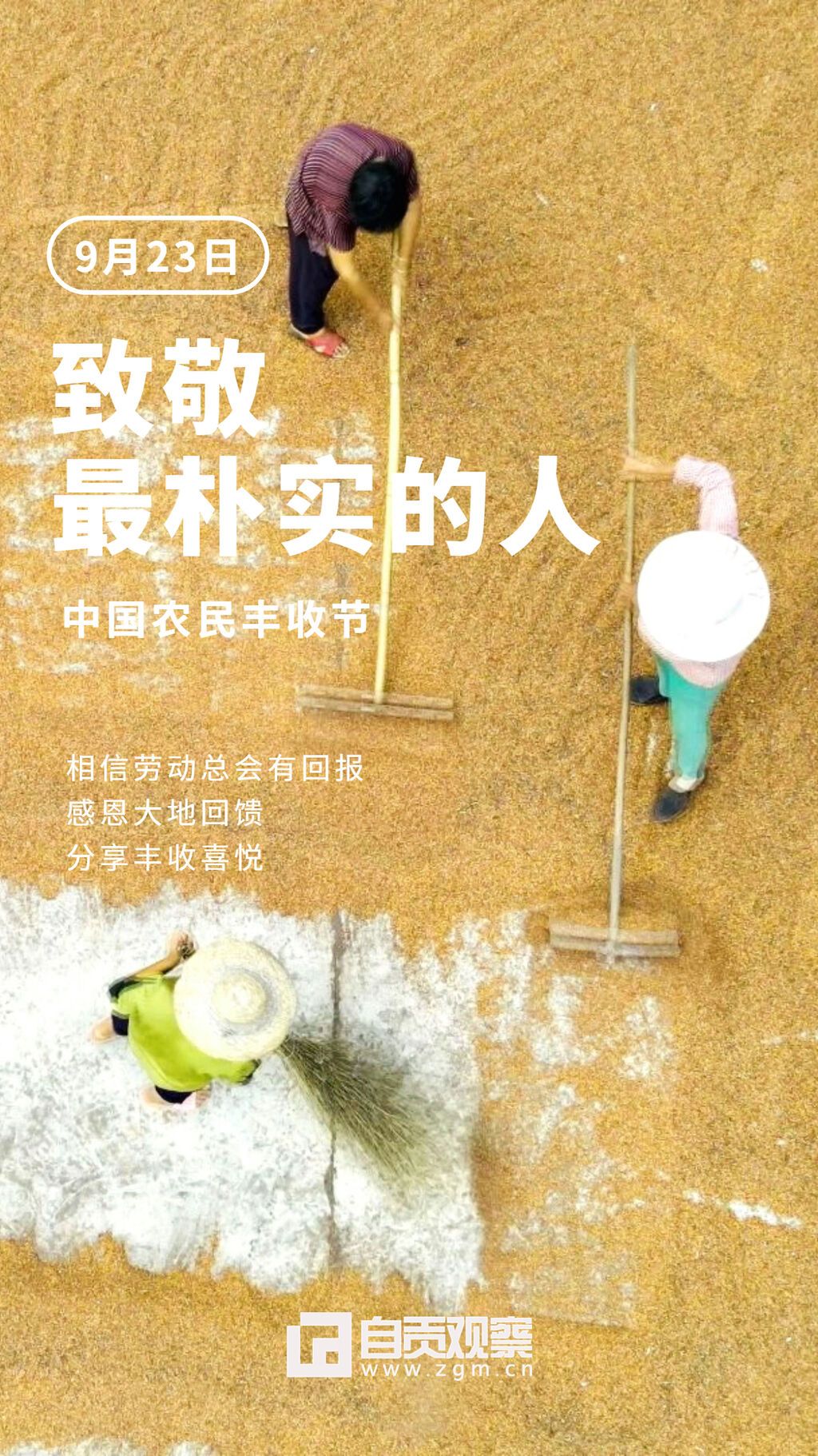 海報(bào)豐收節(jié)3.jpg