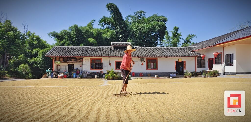 芶思 童寺镇粮农.jpg
