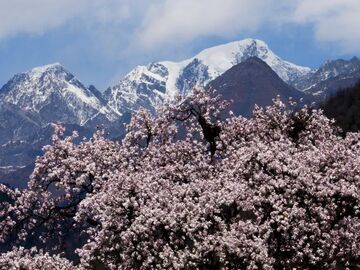 海螺沟460年康定木兰上线，美爆了