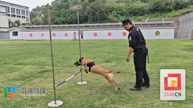 微信图片_2026-05-29_180515_813.jpg