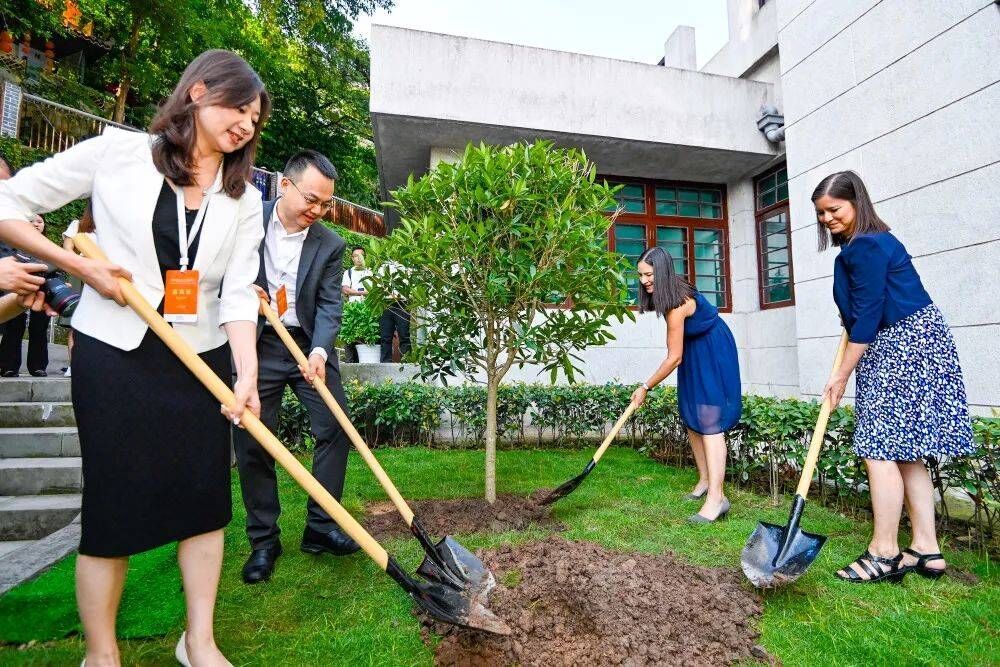2023年8月8日,重庆史迪威博物馆,史迪威将军后代和朱德同志后代共植友谊树。