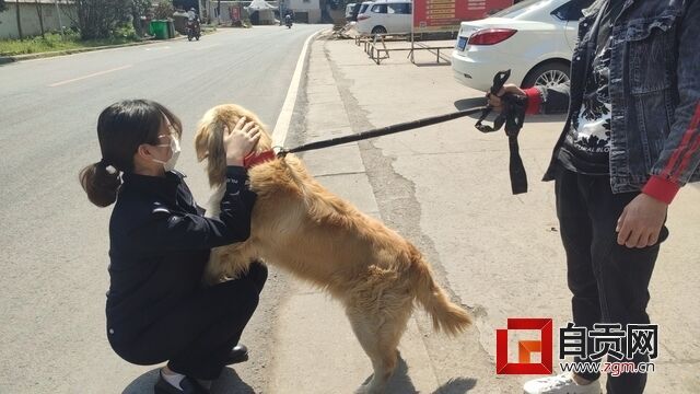 QQ图片20200319175229.jpg
