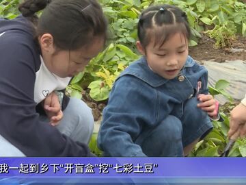 自贡新闻｜田野里“开盲盒” 玩出春假新花样