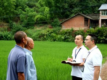 荣县新桥镇：以集中整治解决群众“急难愁盼”问题