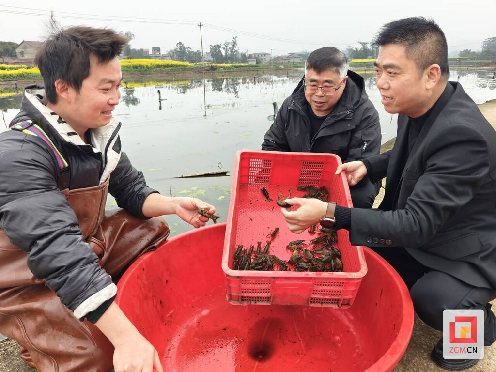 微信图片_20250311114037.jpg