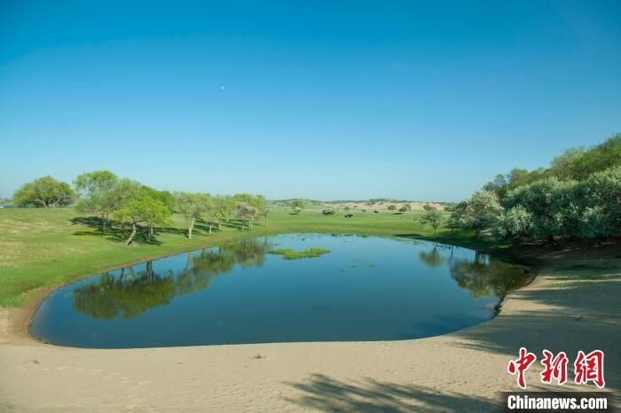 浑善达克沙地腹地初夏风景如画