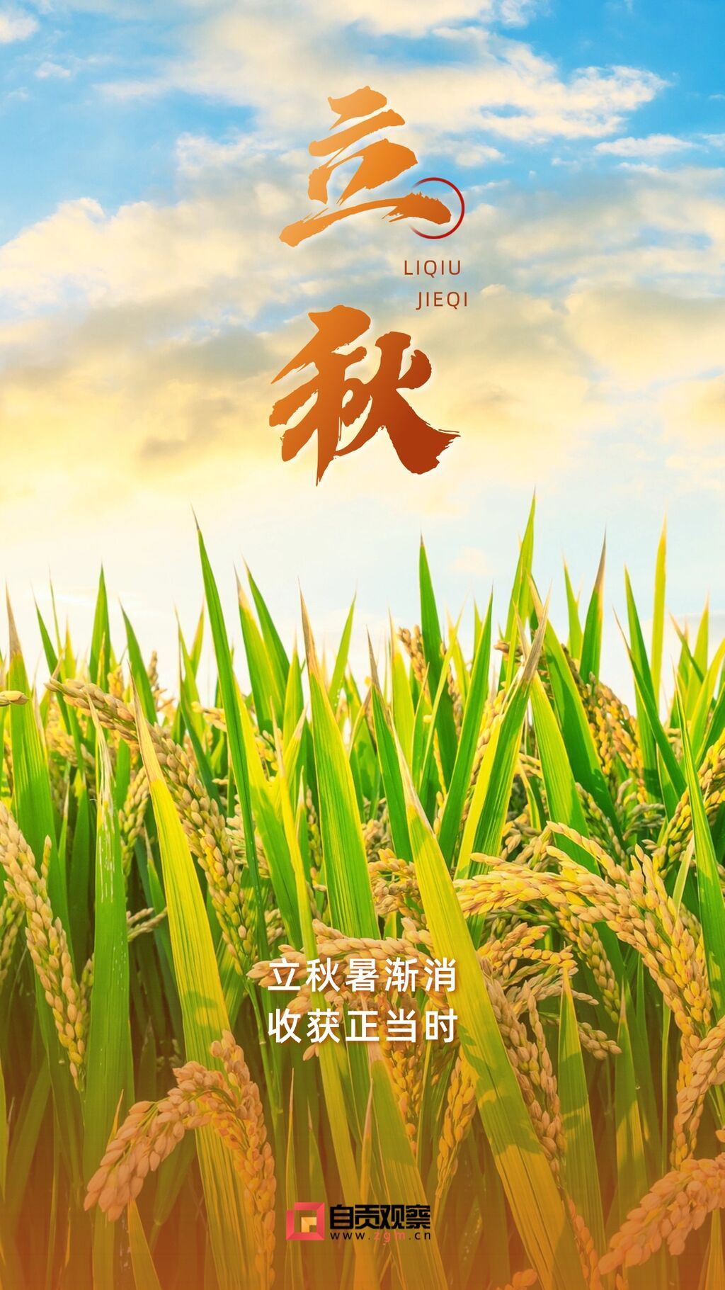 農(nóng)業(yè)種子化肥產(chǎn)品介紹營(yíng)銷實(shí)景風(fēng)手機(jī)海報(bào).jpg