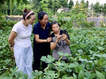 65岁学拍视频，71岁粉丝19万：天全“田埂网红”韩世兰的助农路