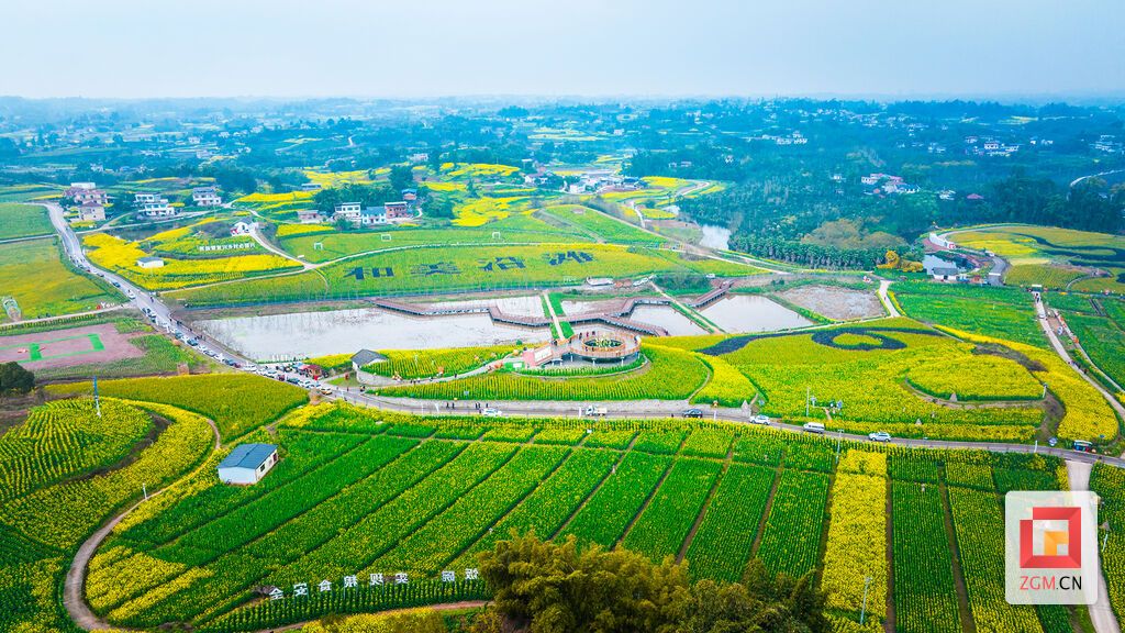 DJI_20250304134526_0026_D.jpg