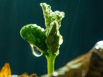 立春 | 东风解冻 万物新生