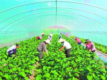 驻进村里 帮出实效——西充构建驻村承诺践诺体系观察