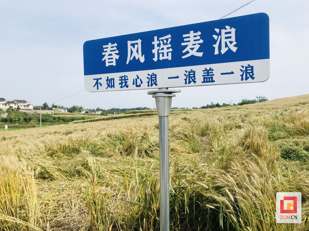 微信圖片_20250430234332.jpg