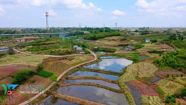 仙市镇无人机 (22).JPG