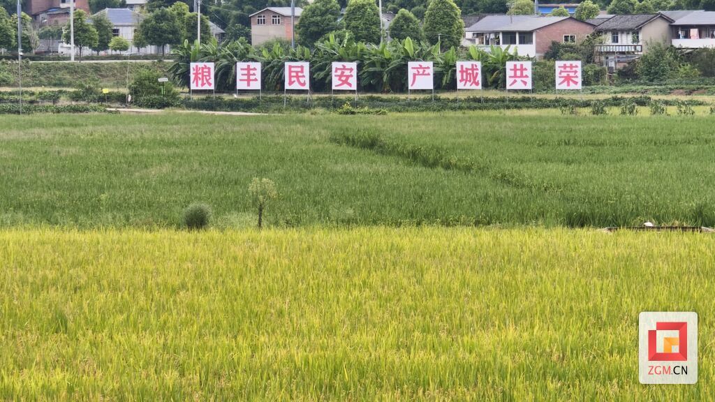 微信图片_20261001111636_685_39.jpg