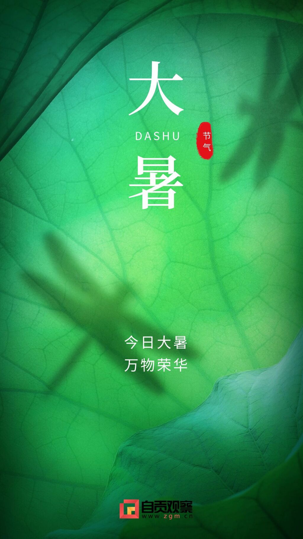 大暑节气祝福实景手机海报.jpg