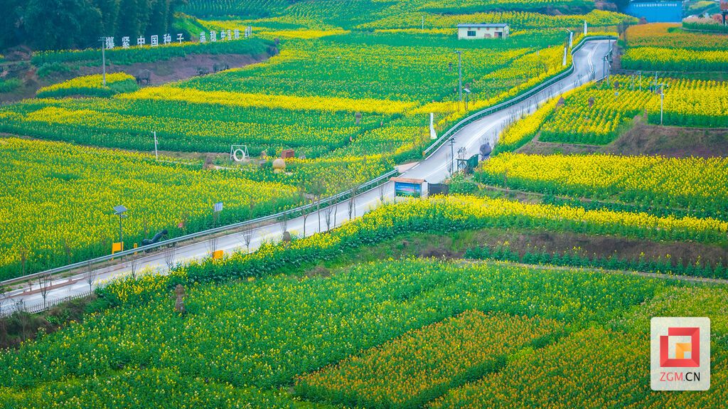 DJI_20250304160844_0080_D.jpg