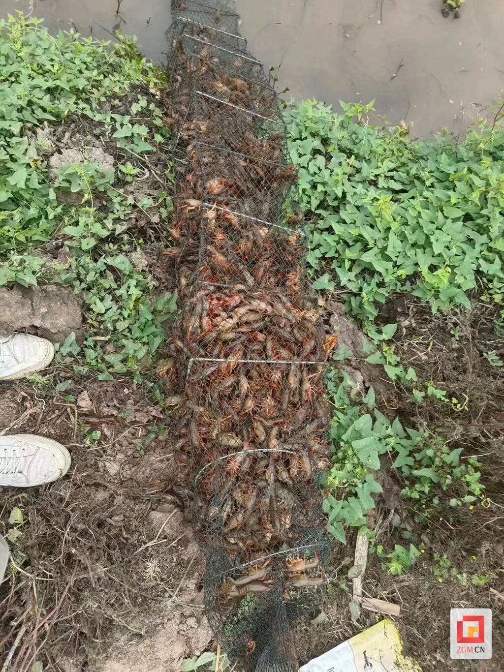 微信图片_20240407152016.jpg