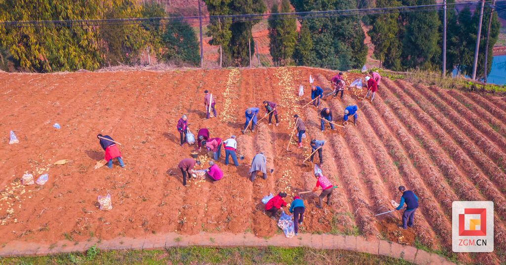 DJI_0594.jpg