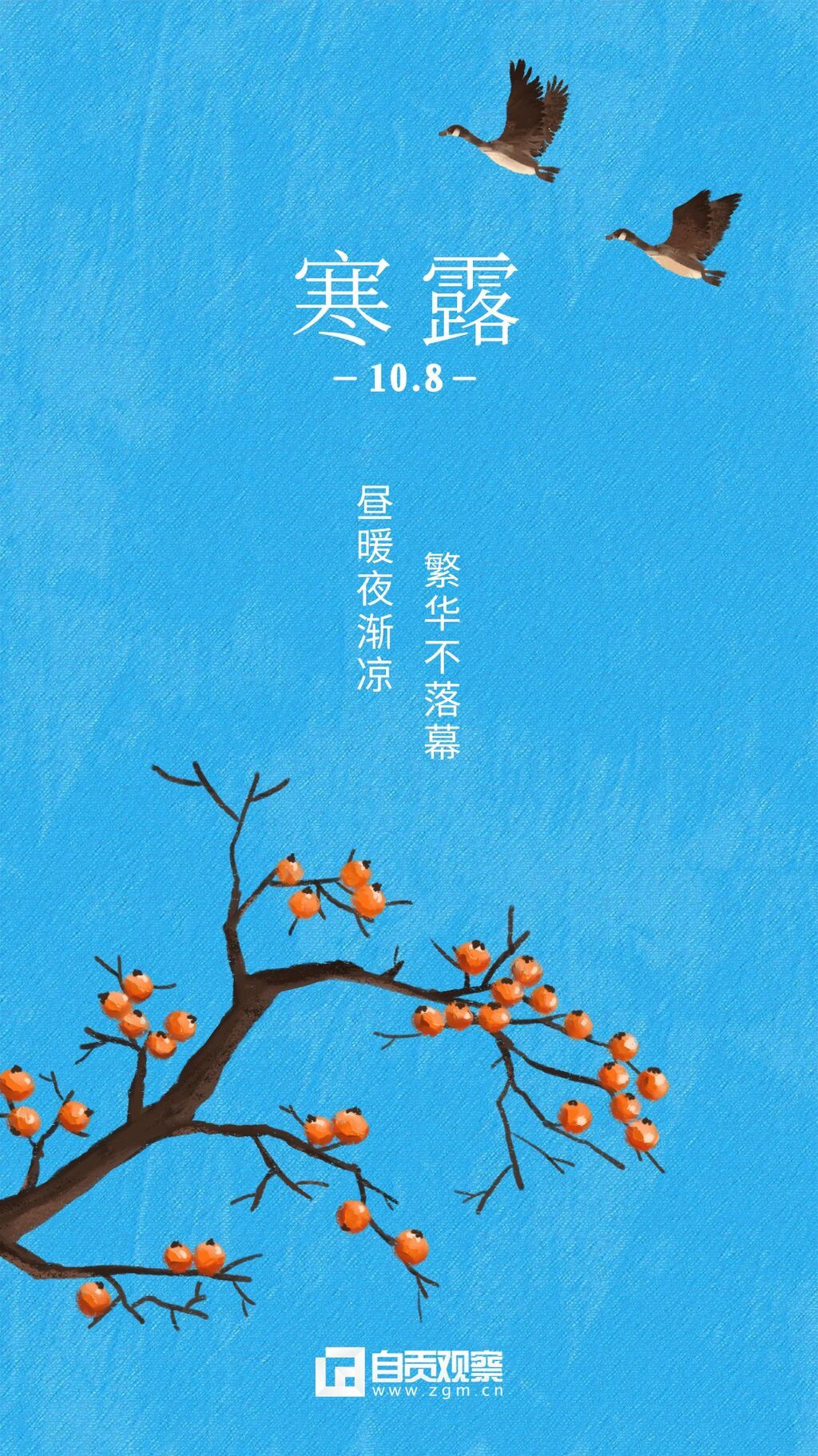 寒露节气祝福问候柿子水彩手绘海报(2).jpg