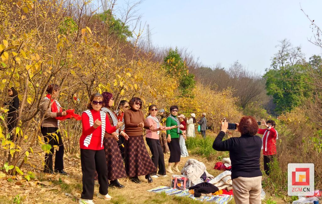 市民在盐都植物园赏腊梅花记者 罗祥瑞摄.jpg