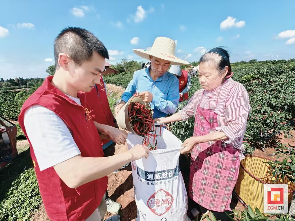 賀勝銀(中)和村民、志愿者協(xié)作.jpg