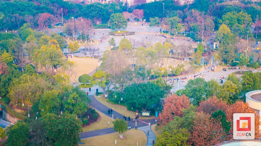 公园满是悠闲踱步的市民,市民乐享冬日暖阳 记者 宋姿熠 摄.jpg