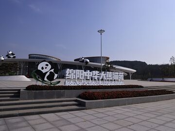 万千气象看四川丨三天营收300万！这座“熊猫家园”如何用IP撬动文旅升级？