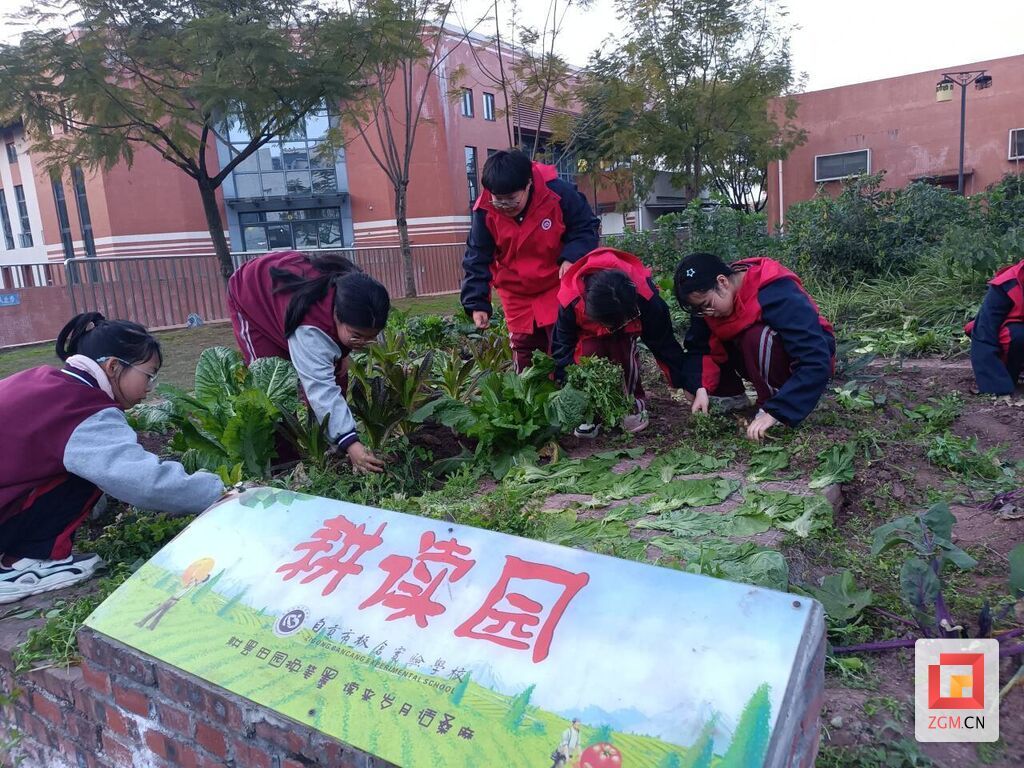 3-耕讀園種植,,體驗勞動之美.jpg