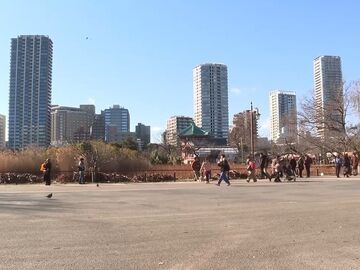 日本学者：扩军并不能提升日本的安全感