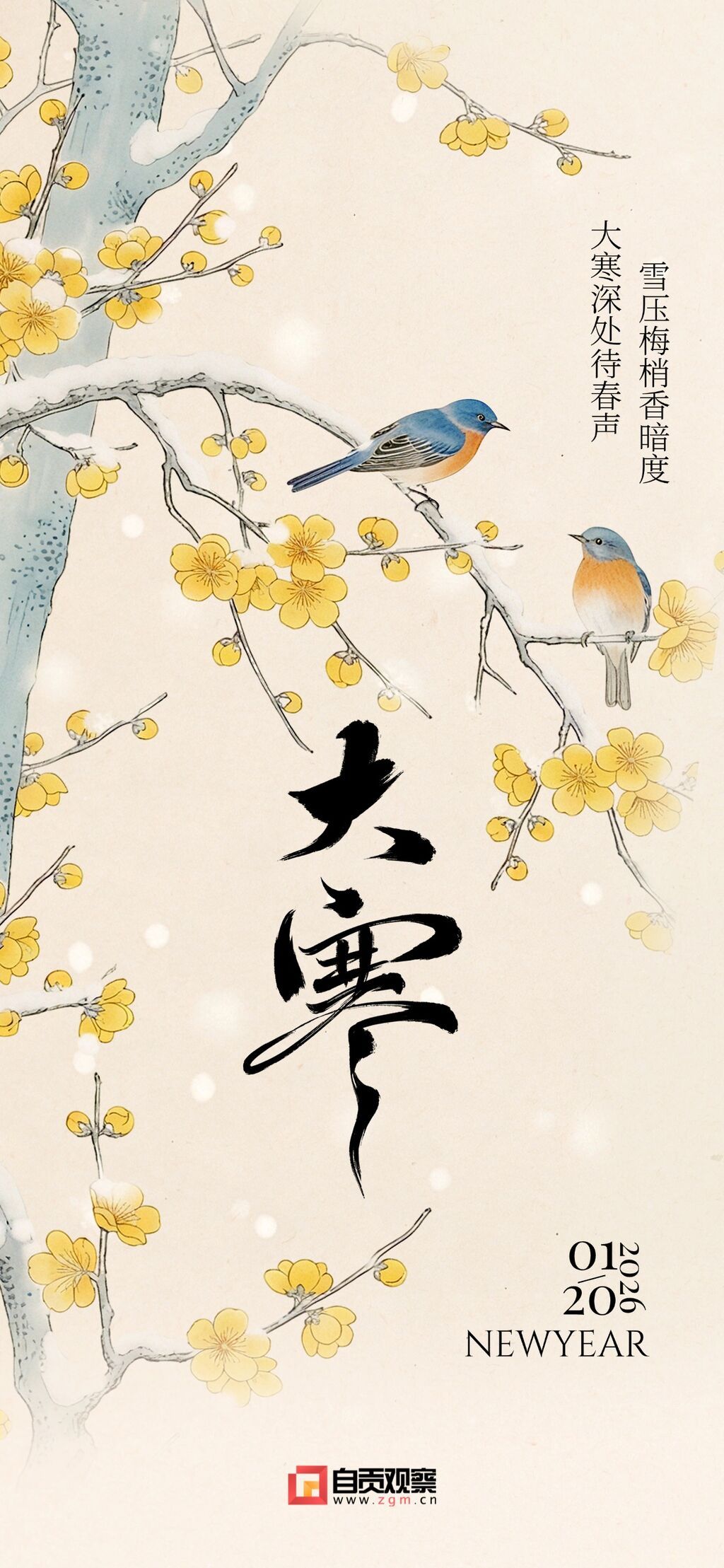 大寒节气祝福国风花鸟中式感通用全屏竖版海报.jpg