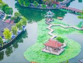 富顺西湖：荷风入夏 